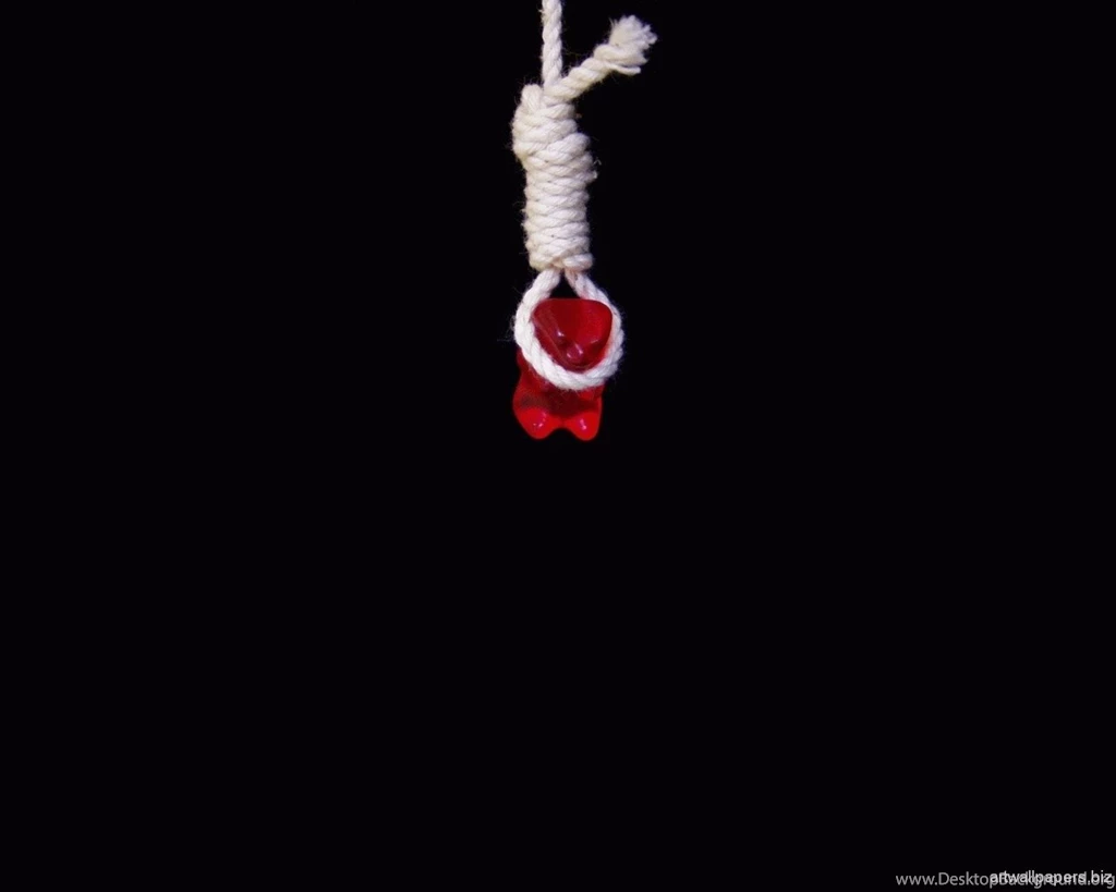 Funny Wallpapers Funny Desktop Backgrounds Funny Wallpapers