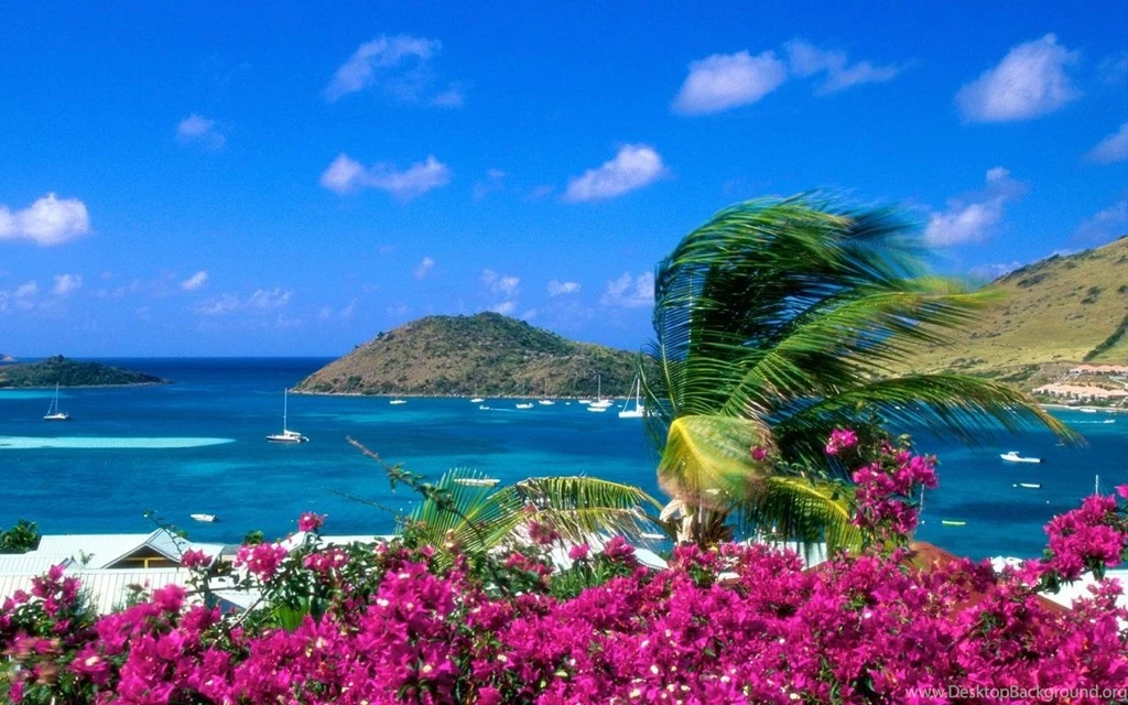 Wallpapers HD Widescreen High Quality Desktop 3D Beautiful 1833r ...