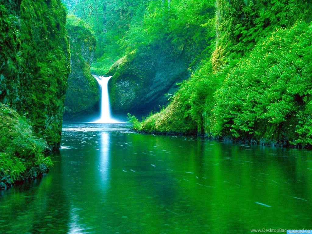 Download Free Nature Wallpapers For Mobile Phones Wallpapers Hd