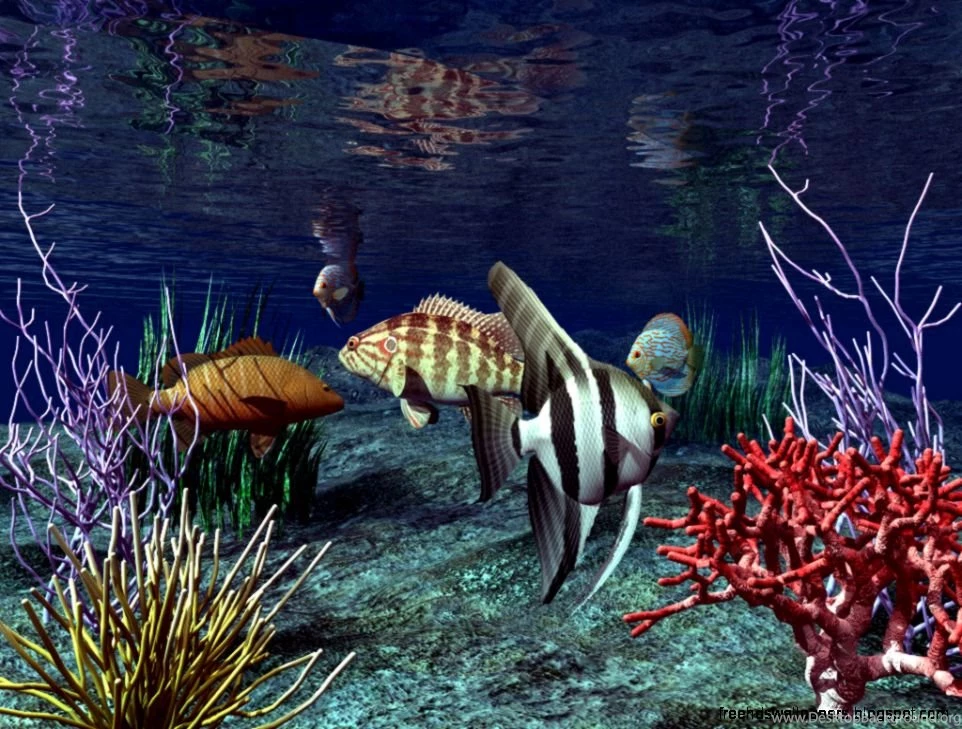 Live Wallpapers For Desktop Free