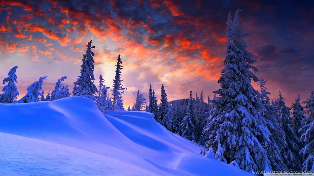 Winter Christmas HD Desktop Wallpapers : Widescreen : High ...