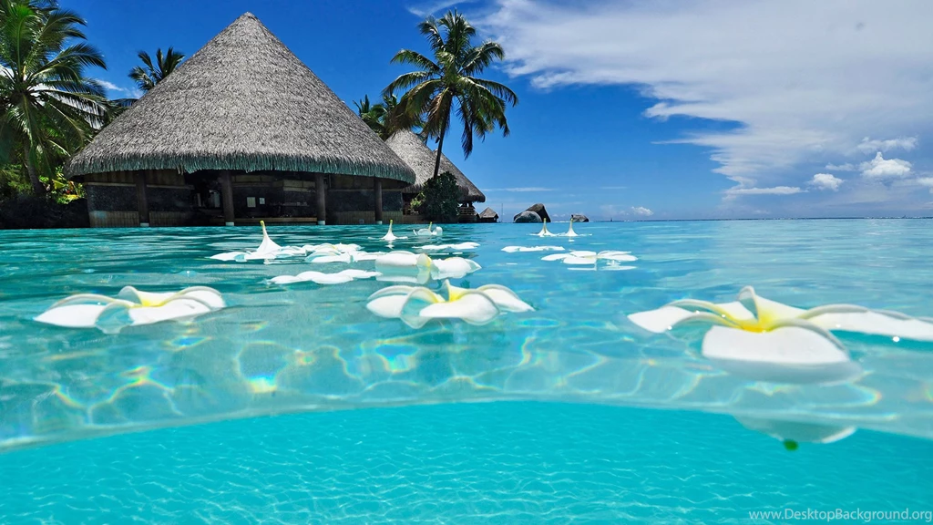 Beach Wallpapers BKL001 – Wallpaperjosh