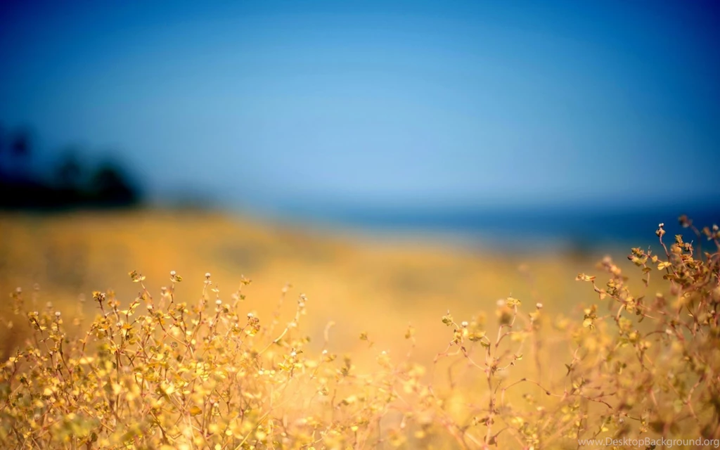1680x1050 Ocean Beach Desktop PC And Mac Wallpapers