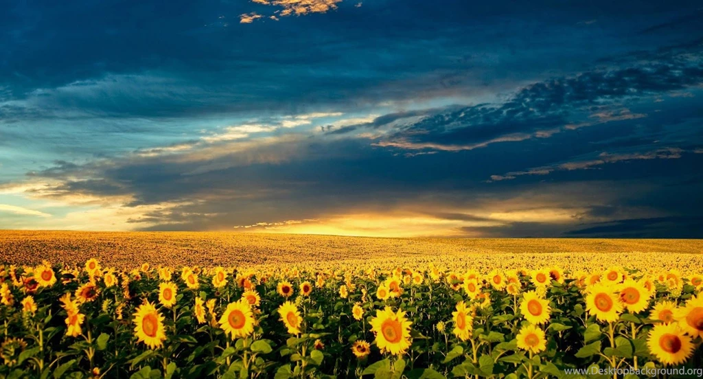 20 Amazing Nature Full Hd Wallpapers 1080p 3 Wallpapers Z