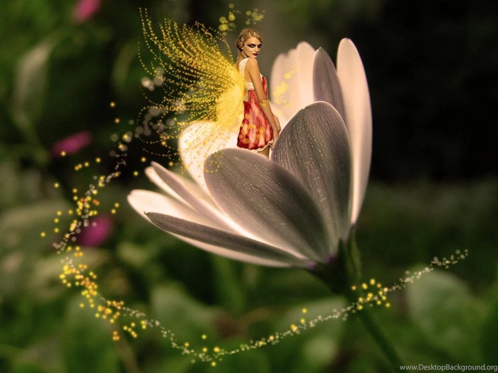 Fairies Wallpapers Android Apps On Google Play