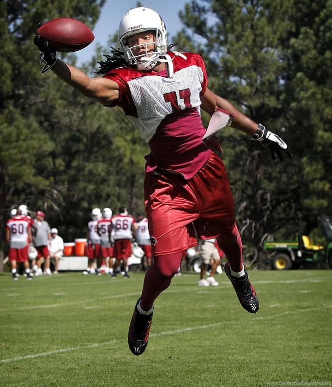 Larry Fitzgerald wallpapers