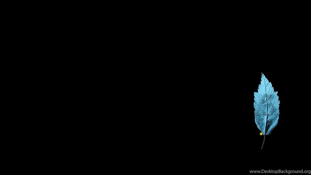 Cartoon Network Wallpapers