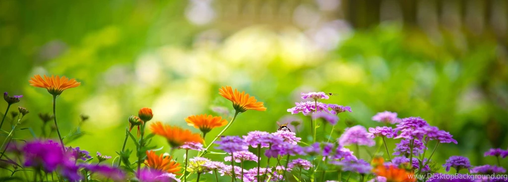 Tuttleman Counseling Services