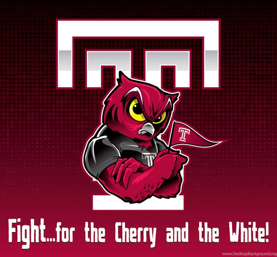 Temple Owls Images