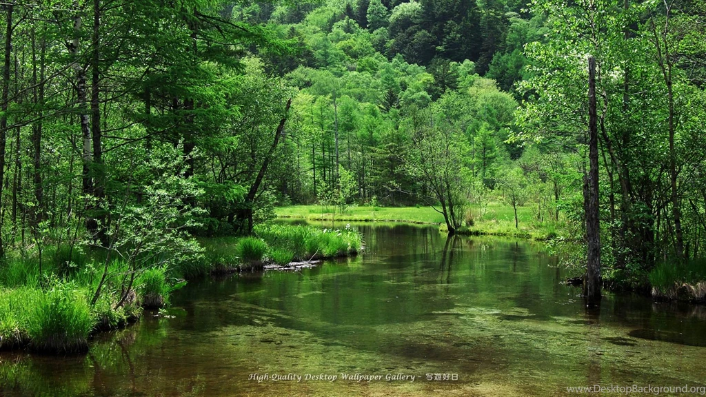 Nature Wallpapers HD For Desktop High Resolution Best HD Desktop ...