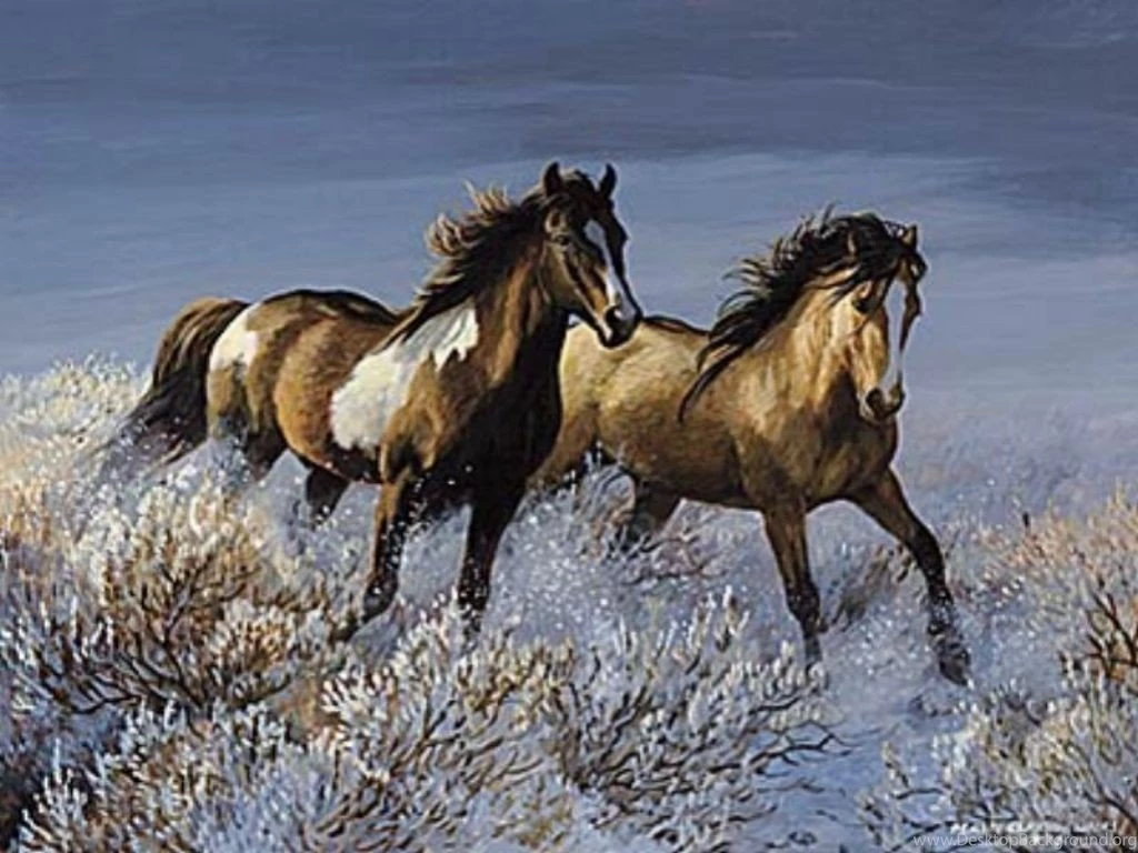 HD Animals Wallpapers: 09/24/11
