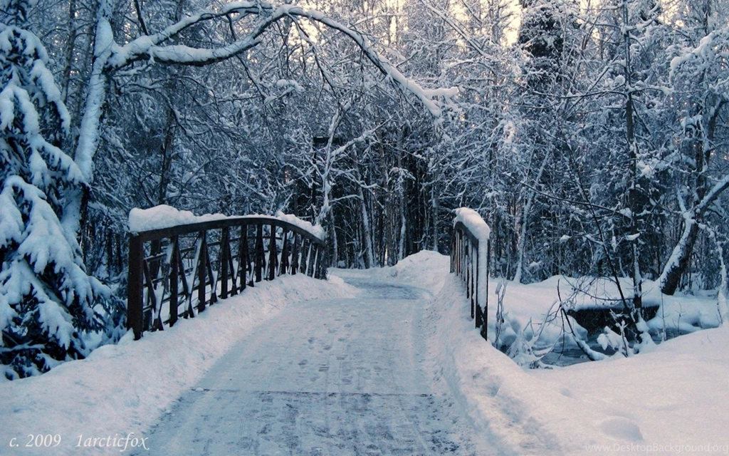 Winter Wallpapers Collection (37+)