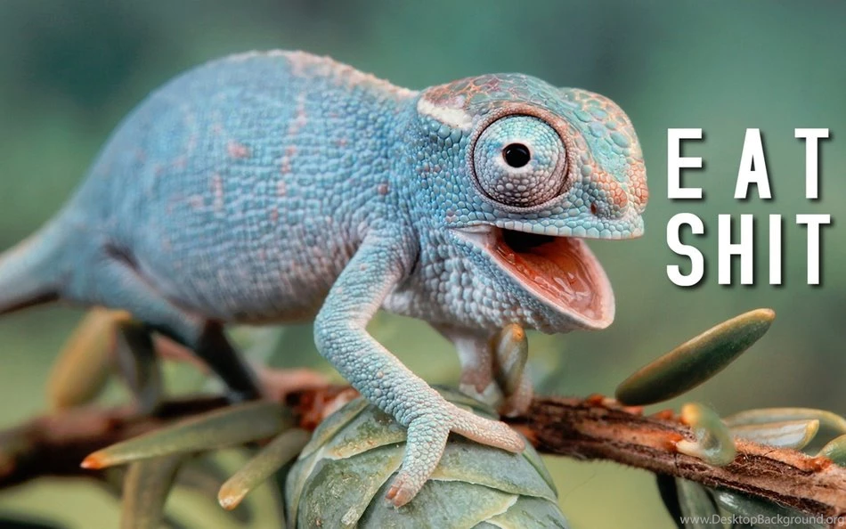 54 Beautifully Offensive Desktop Wallpapers