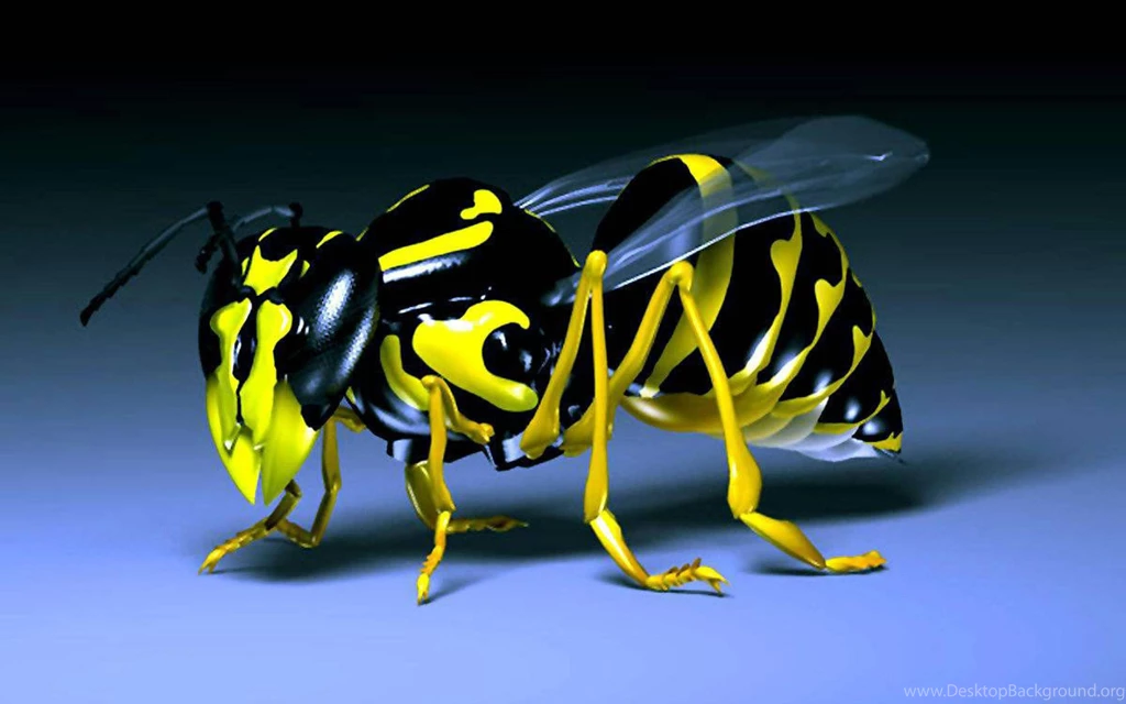 Bee Insect 3d Wallpaper HD Dual Monitor Backgrounds