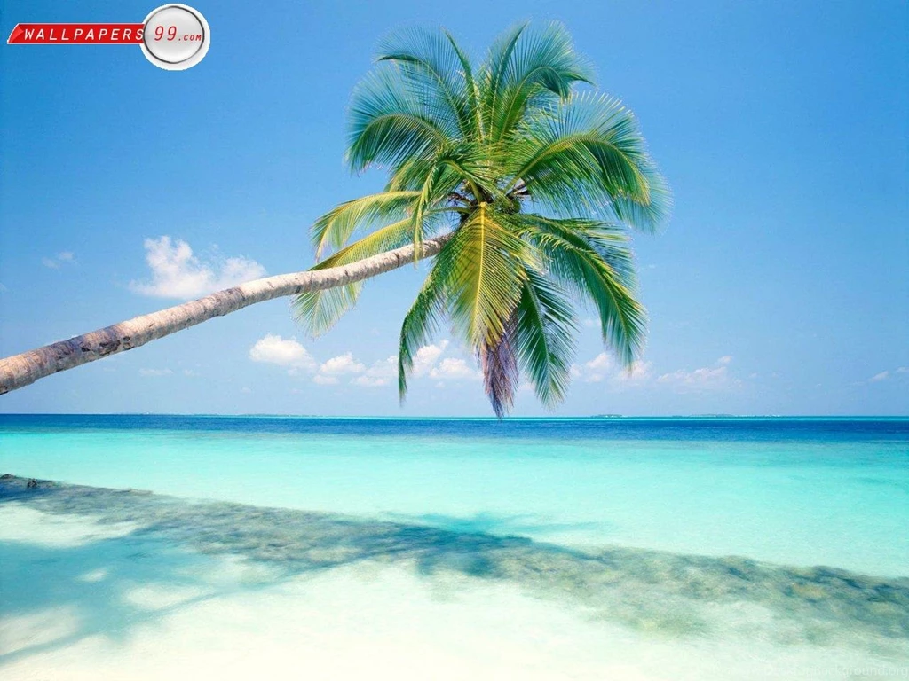 Beaches Wallpapers Wallpapers Picture Image 1280x960 5183