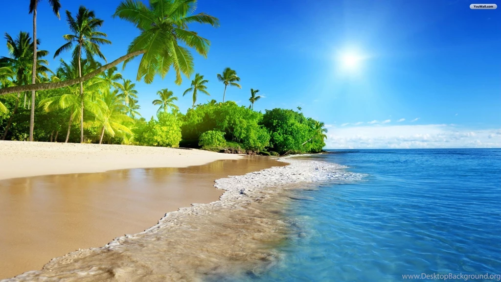 Tropical Beaches