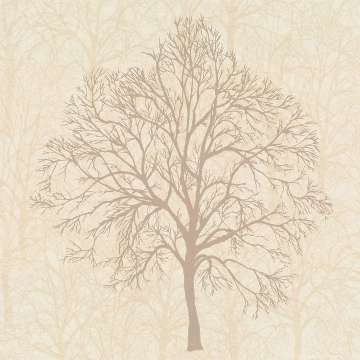Graham & Brown Enchant Trees Wallpapers Blonde Cream / Gold ...