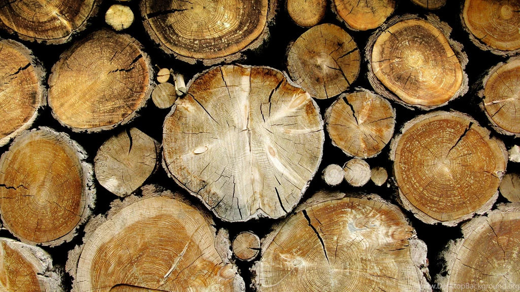 Tree_stumps_wood_nature_1920x1080 Magic4Walls.com