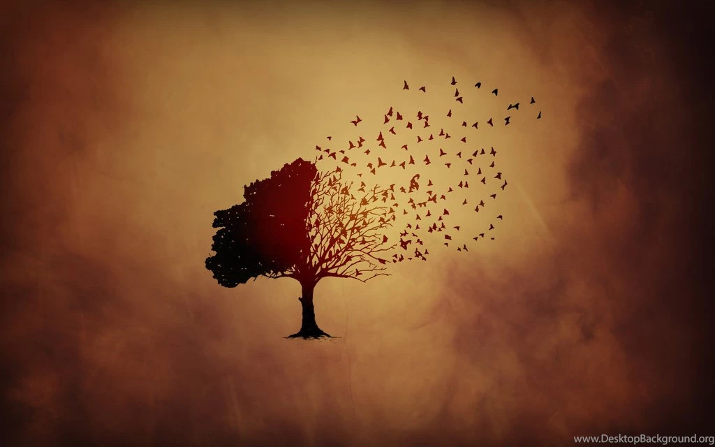 Tree Wallpapers – AB Wallpapers