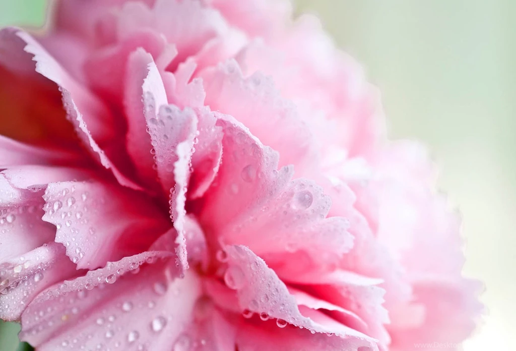 Girly Vintage Desktop Backgrounds