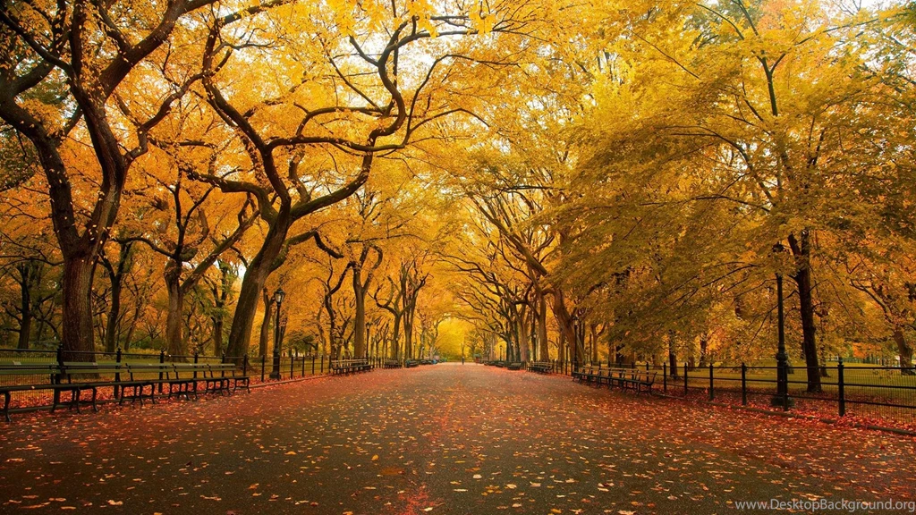 HD Wallpapers In 1080p Widescreen