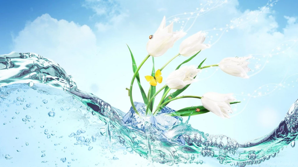 HD Flowers Wallpapers Widescreen