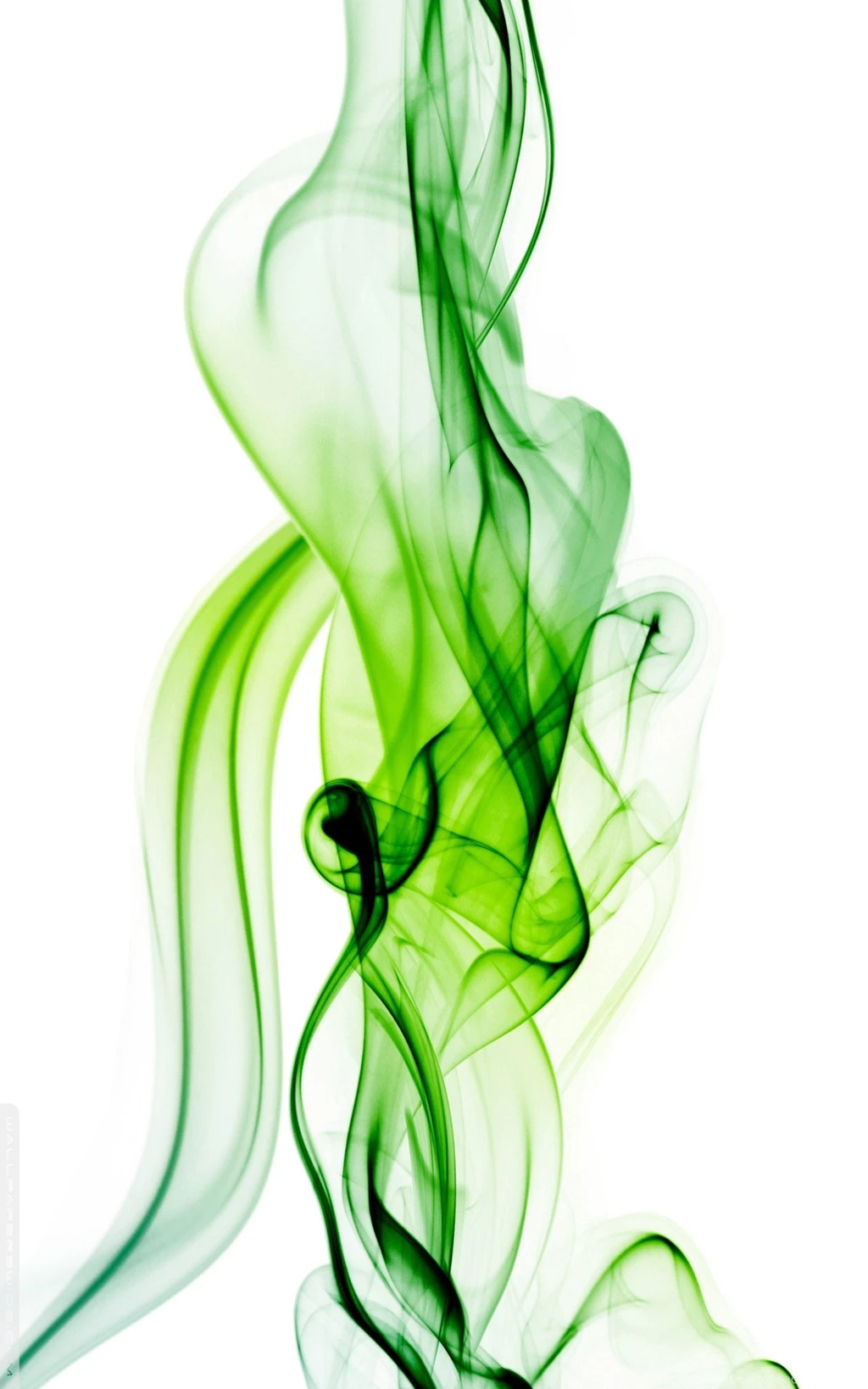 Perfect — Guntown Vape
