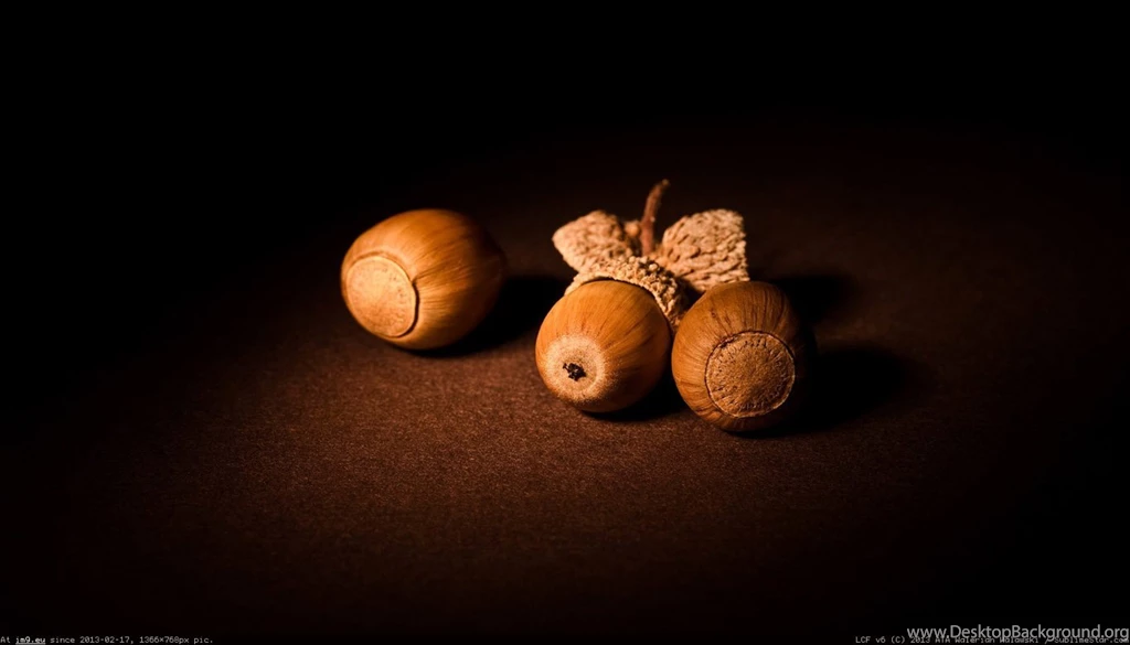 Album: Food And Drinks Wallpapers 1366x768 (full Images)