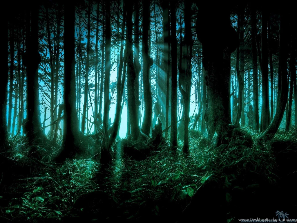 Nature Wallpaper: Scenic Forest Wallpapers Wide HD Quality ...