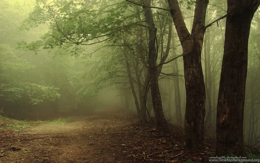 Scary Forest Stock/ Wallpapers By Amuchan06 On DeviantArt