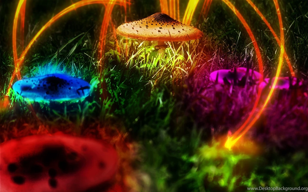 Trippy Mushroom Wallpapers 1080p Uncalke.com