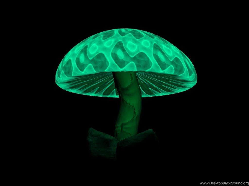 Magic Mushroom Wallpapers
