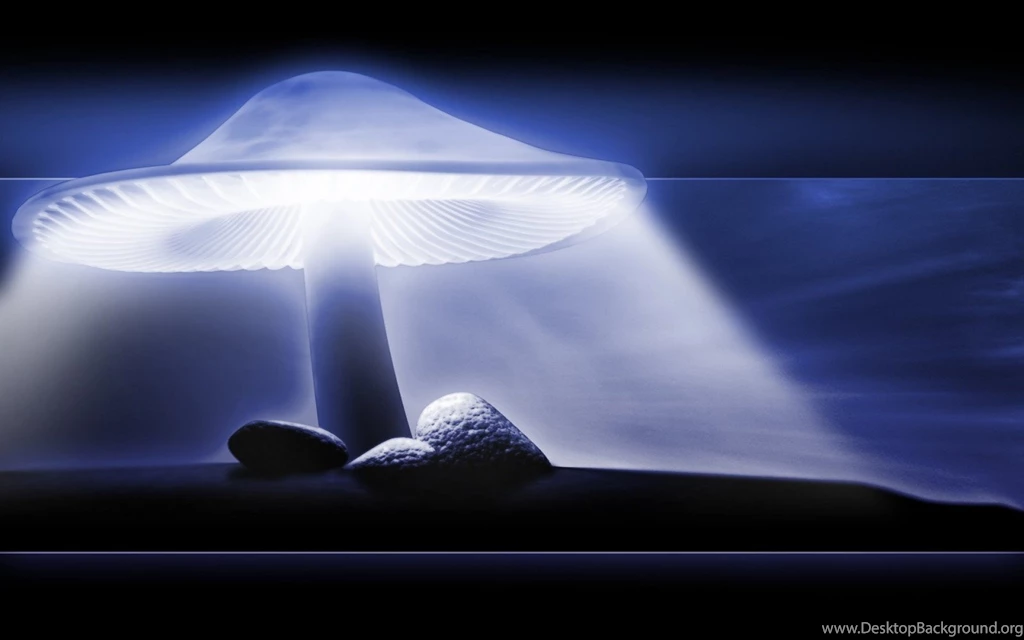 Trippy Mushroom Wallpapers High Quality Uncalke.com