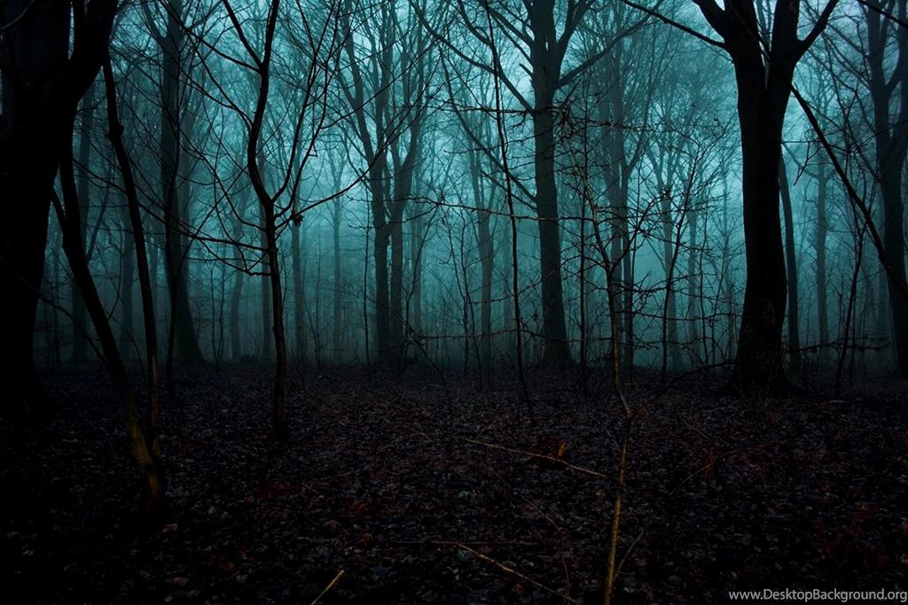 Creepy Forest At Night