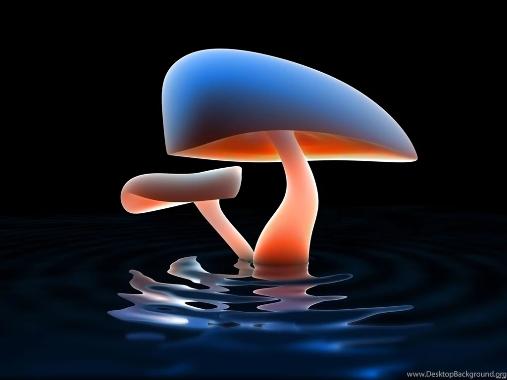 Trippy Mushroom Wallpapers Desktop For Desktop Uncalke.com
