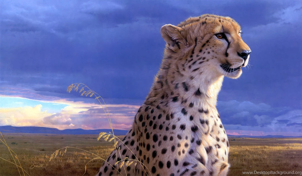 Cheetah Wallpaper Backgrounds Uncalke.com