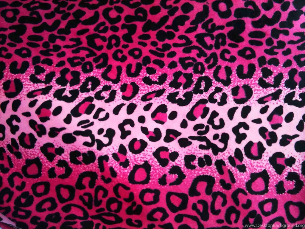 Cheetah Print Desktop Wallpapers
