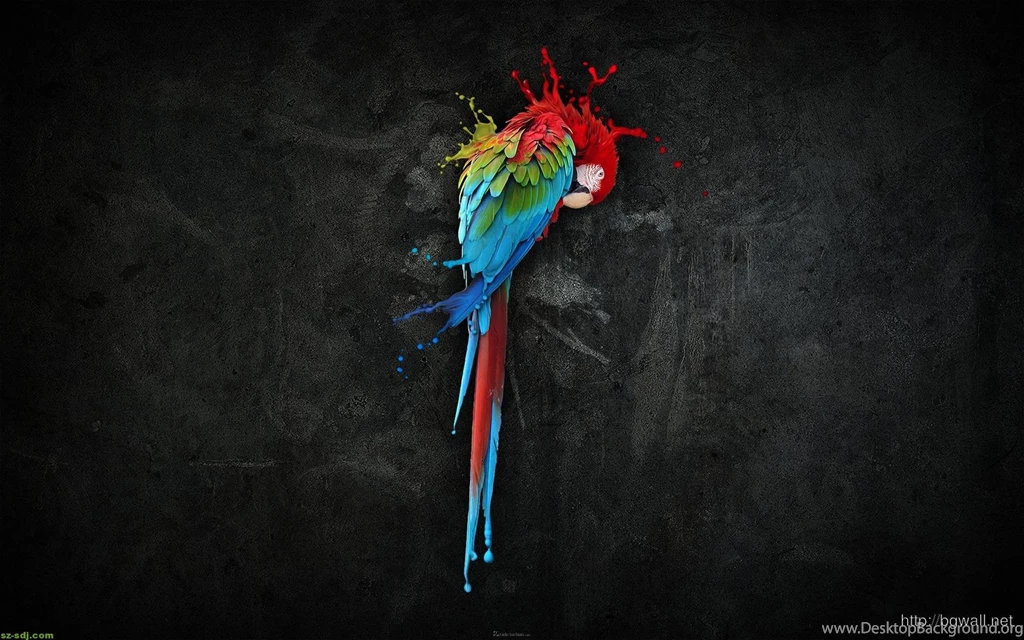 3d Parrot Art Design Wallpaper Backgrounds