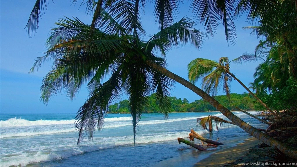 Punta Uva Beach Summer Beach Wallpapers 1366x768 Wallpapers ...