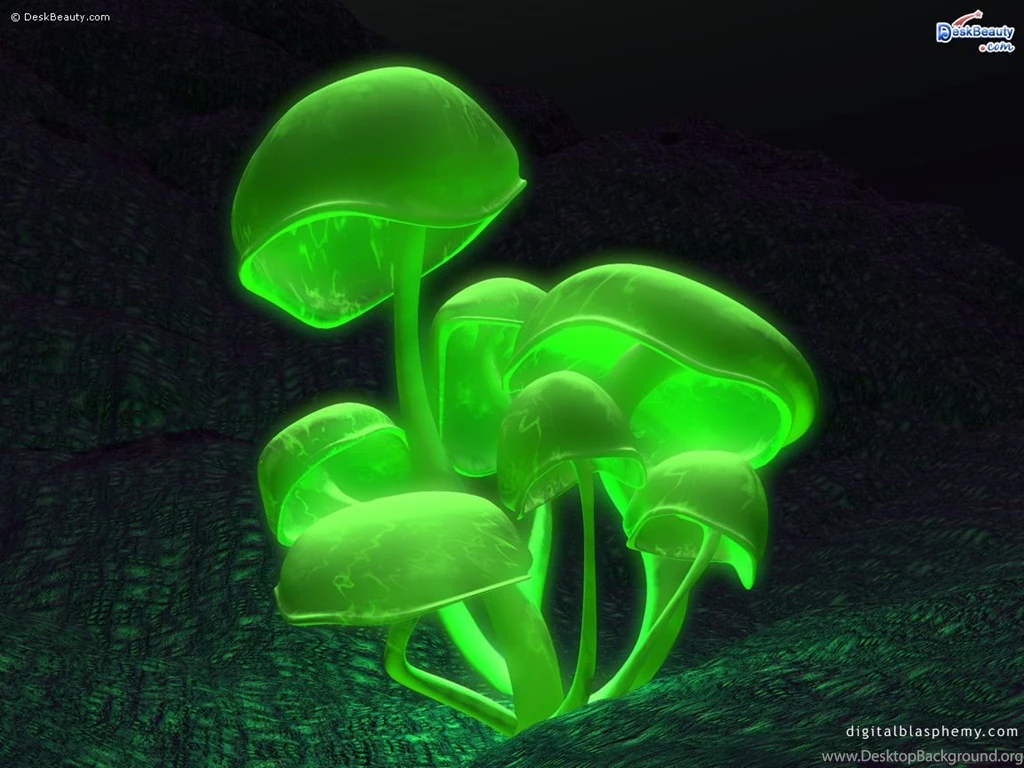 Wallpapers I Love You Flowers Cars Indian Girls Best 1152x864 ...