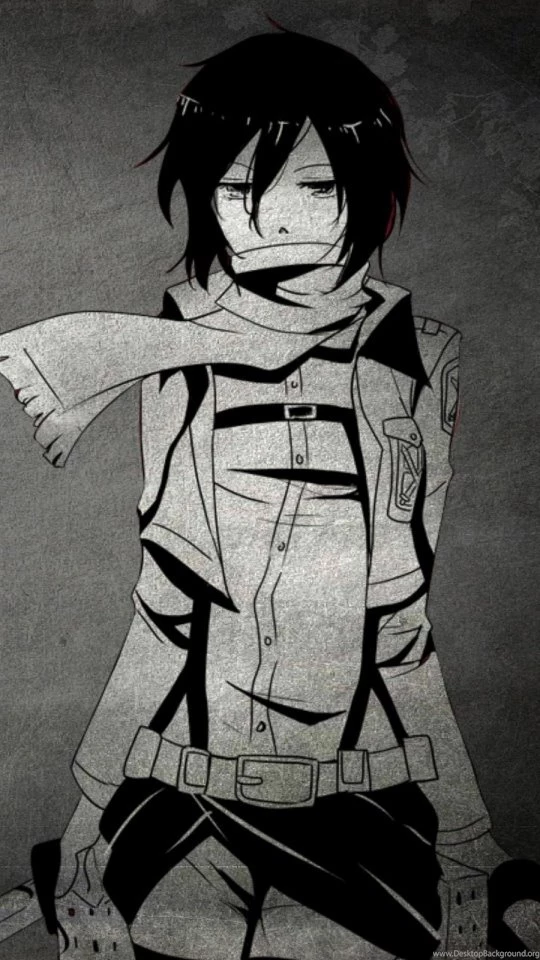 Download Wallpapers 540x960 Shingeki, No Kyojin Upscale, Mikasa ...