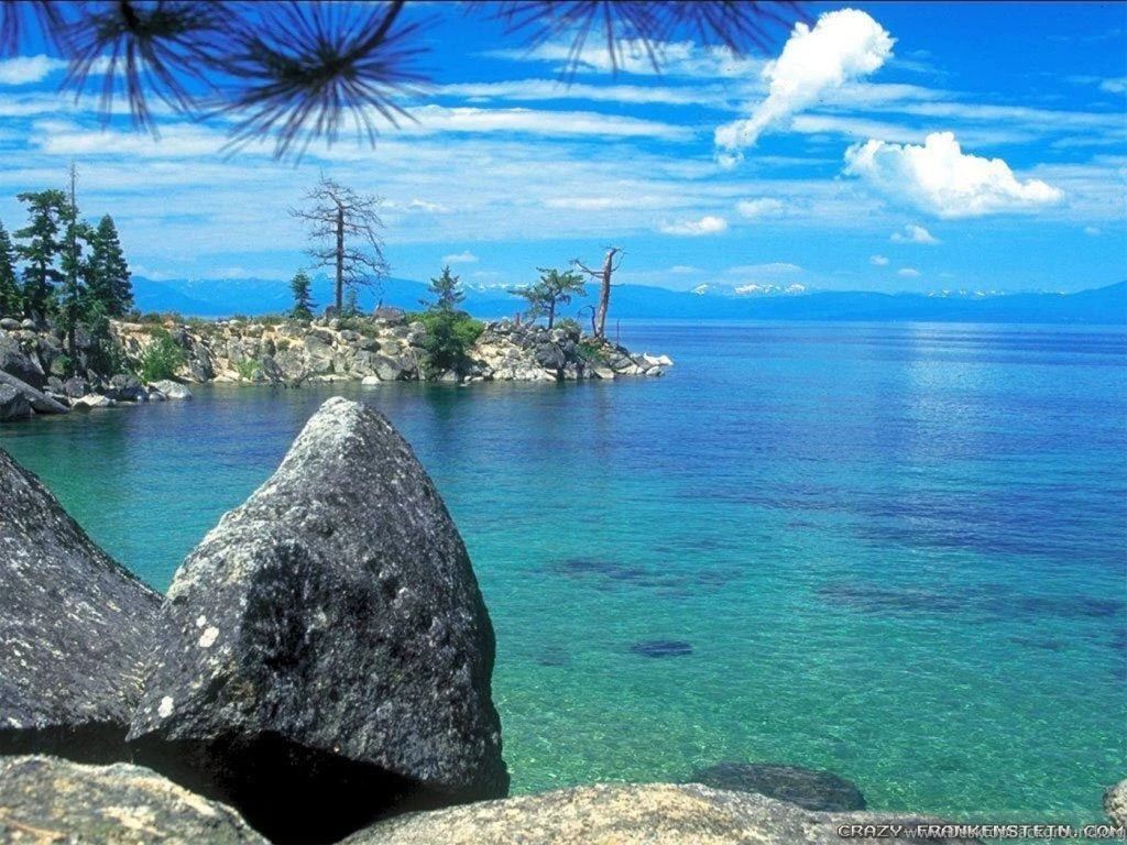 Wonderful Wallpapers   Crazy Frankenstein