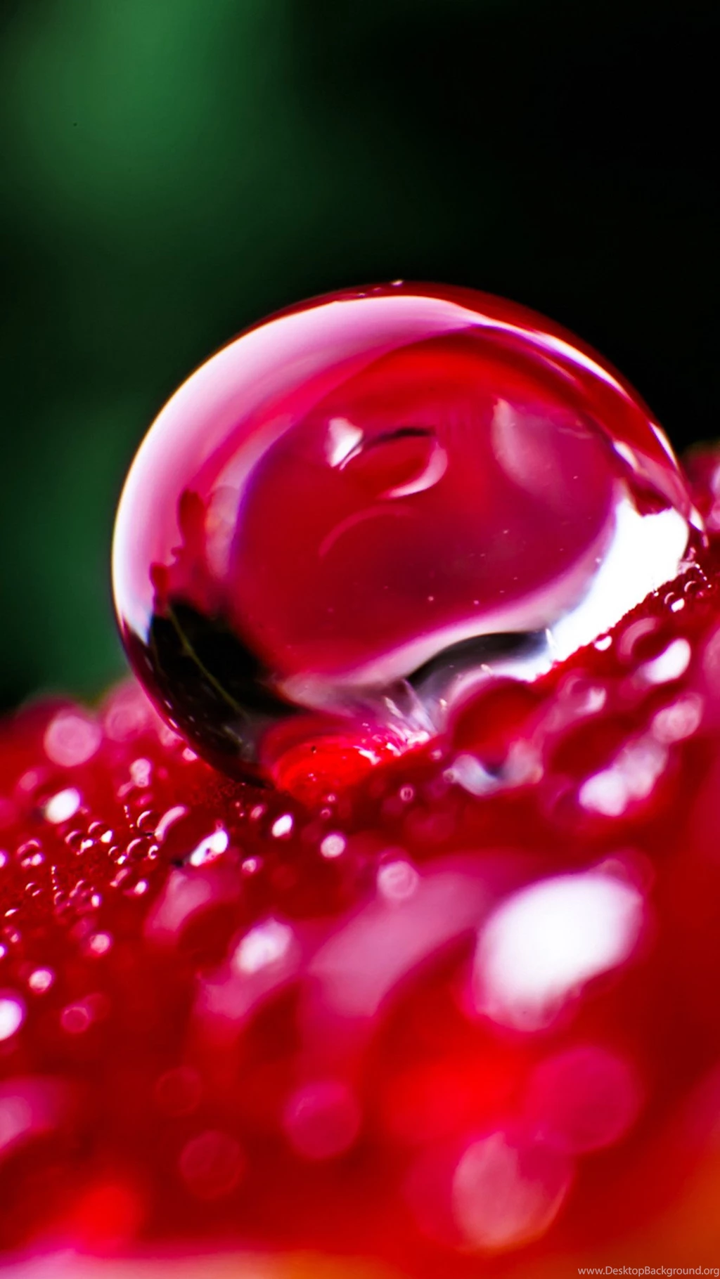 Wonderful iPhone 6 Wallpapers