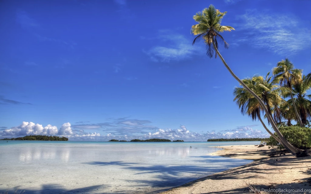 3d wallpaper widescreen high resolution beach (3)