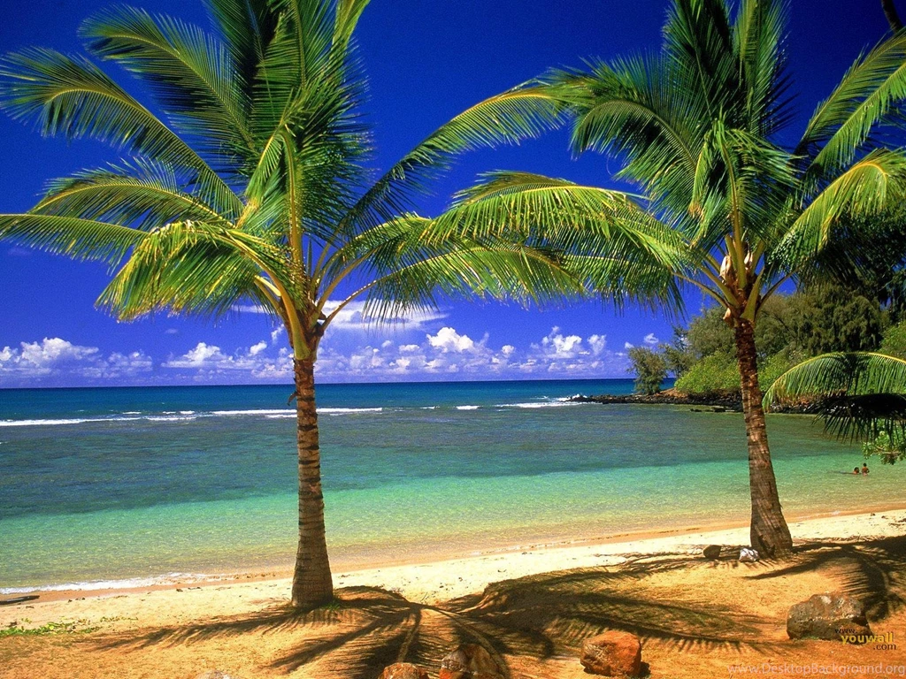 Tropical Beach Wallpapers Photo For Desktop Backgrounds Ndemok.com