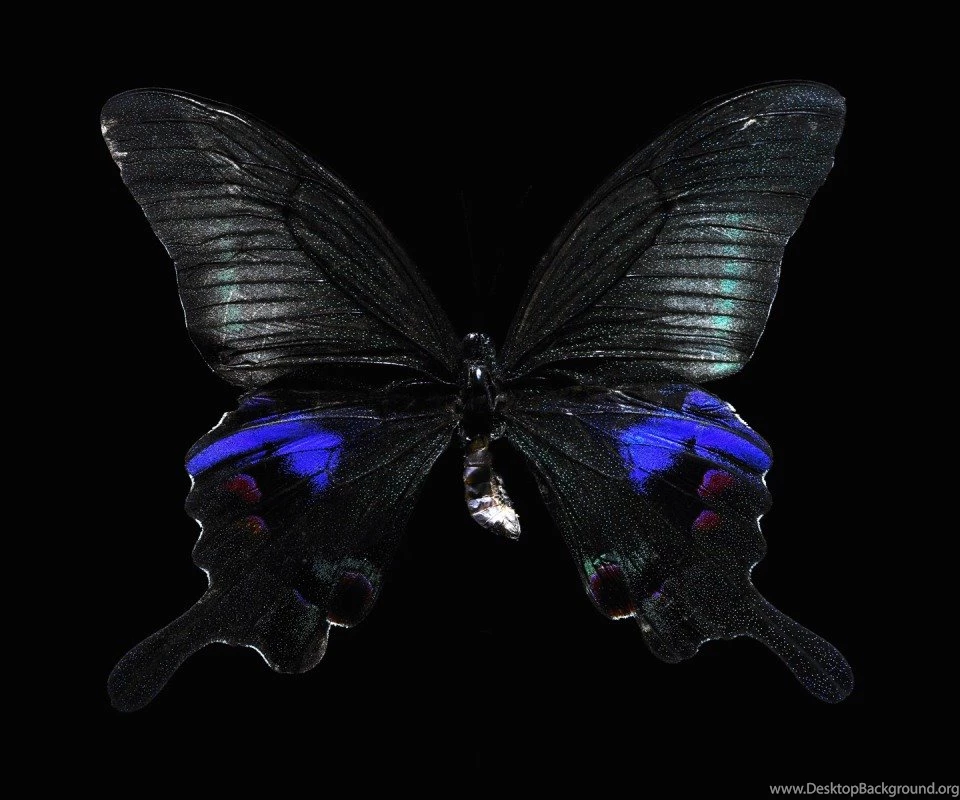 Cool Wallpapers For Girls 736