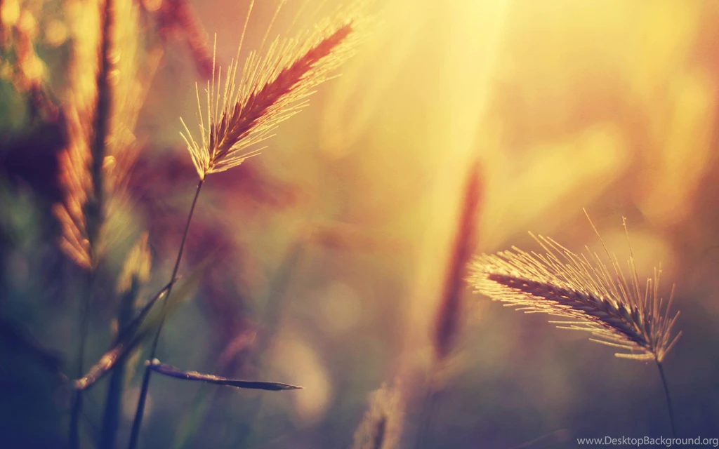 Backgrounds Wallpapers For Macbook Pro FB78