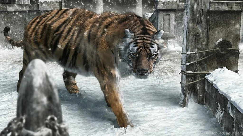 High Resolution 3D Animal Wallpapers Full Size SiWallpaperHD 13157