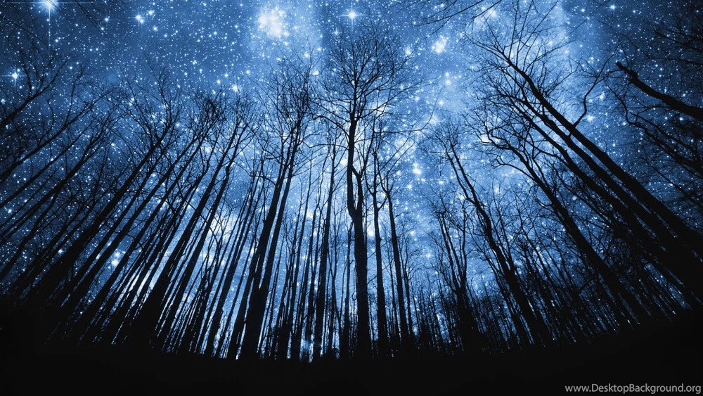 Made Of Stardust With A Case Of The Mondays — Serena Brommel Yoga