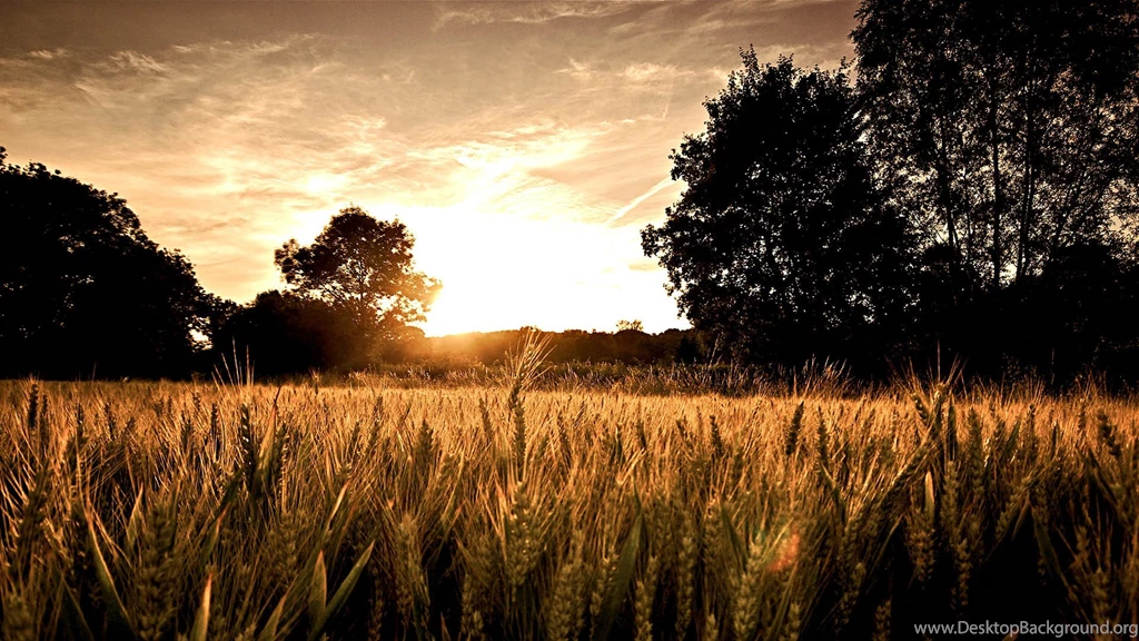 Best Wallpapers F60 HD Wallpapers
